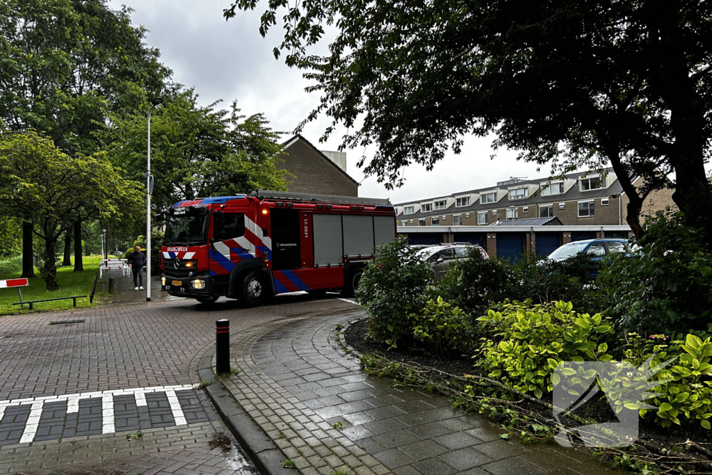 Auto fiks beschadigd door omgevallen boom