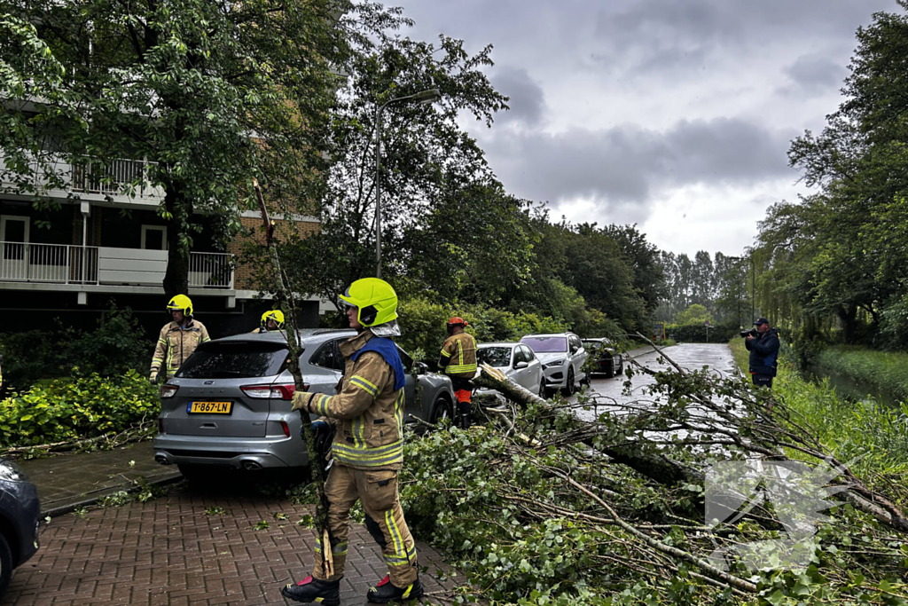 Auto fiks beschadigd door omgevallen boom