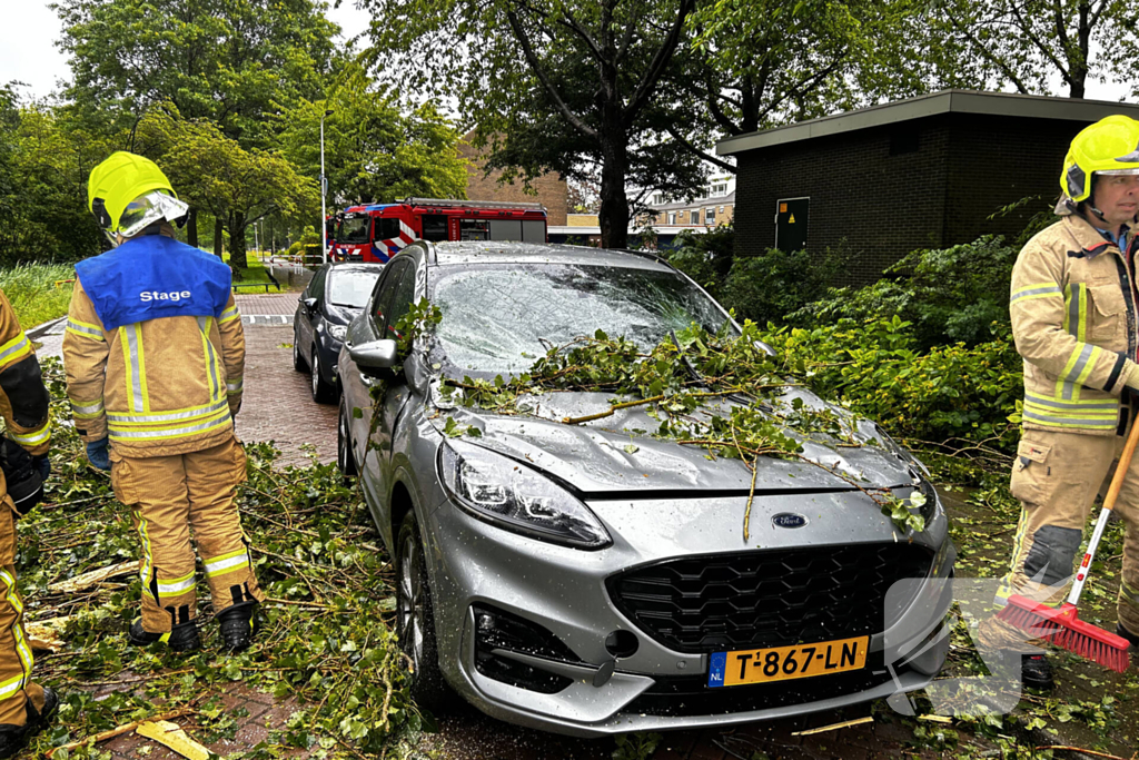 Auto fiks beschadigd door omgevallen boom