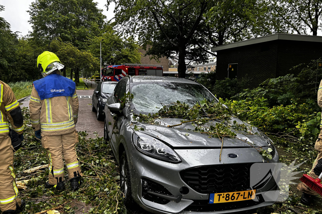 Auto fiks beschadigd door omgevallen boom