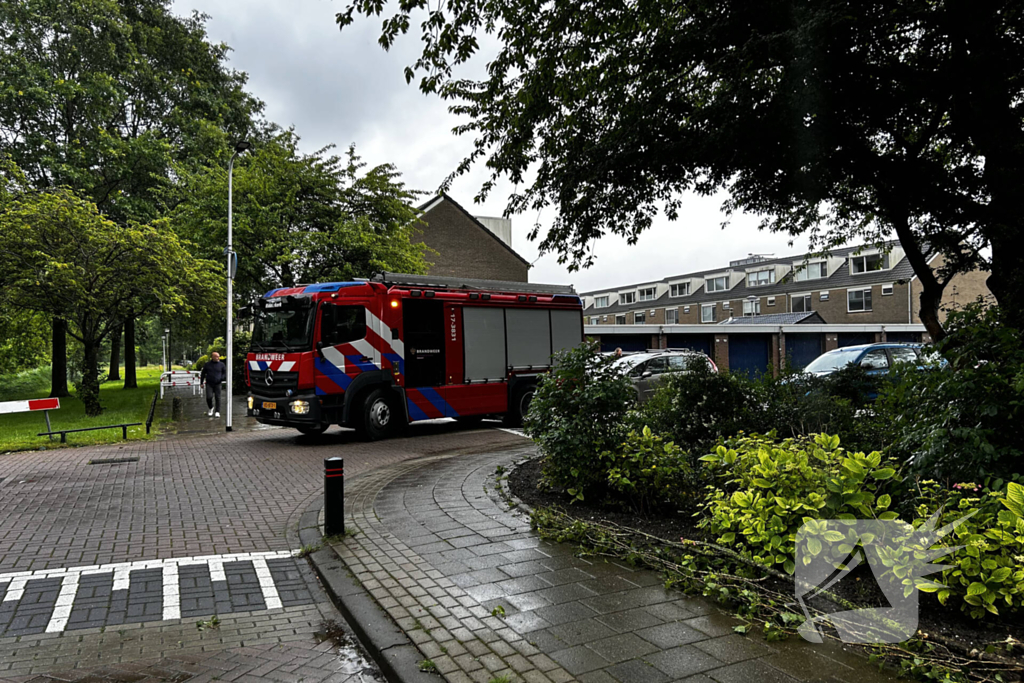 Auto fiks beschadigd door omgevallen boom