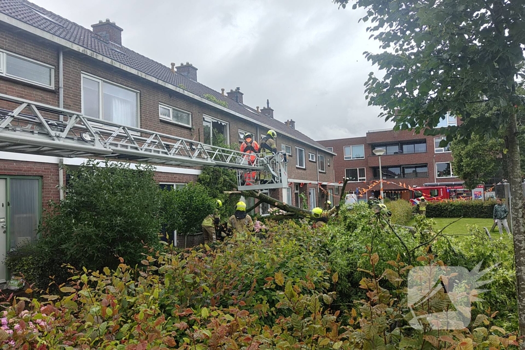 Boom waait tegen woning en beschadigd ruit