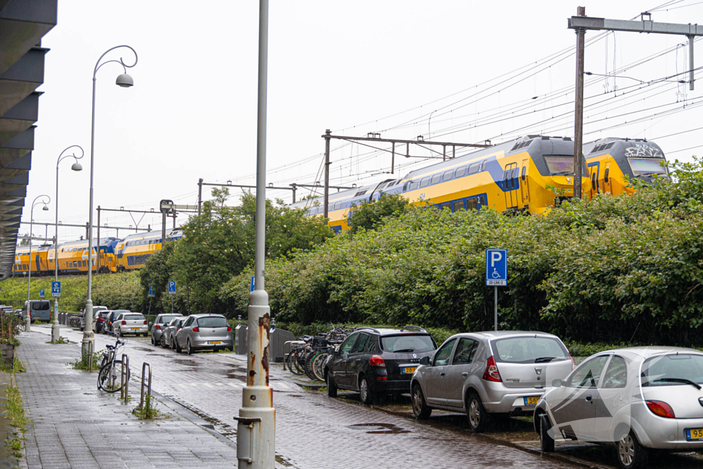 Treinverkeer plat door omgewaaide boom op bovenleiding