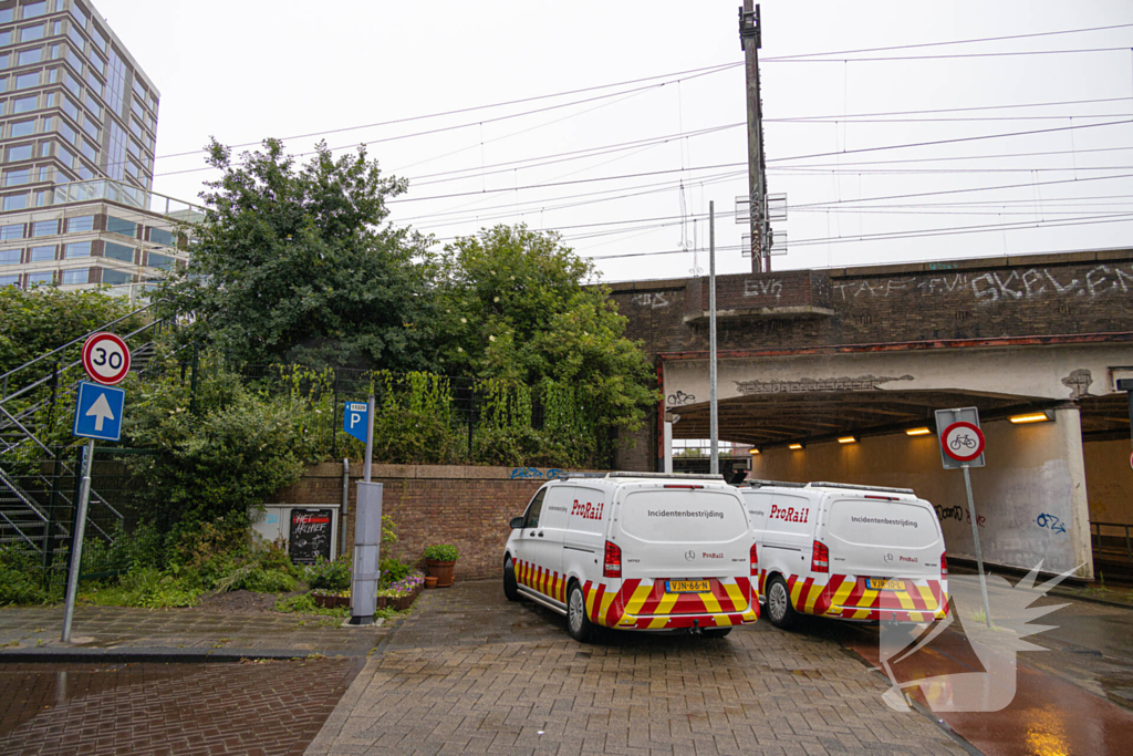 Treinverkeer plat door omgewaaide boom op bovenleiding