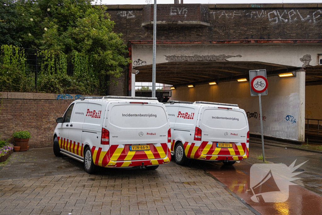 Treinverkeer plat door omgewaaide boom op bovenleiding