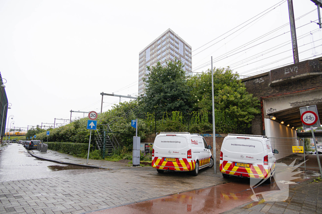 Treinverkeer plat door omgewaaide boom op bovenleiding