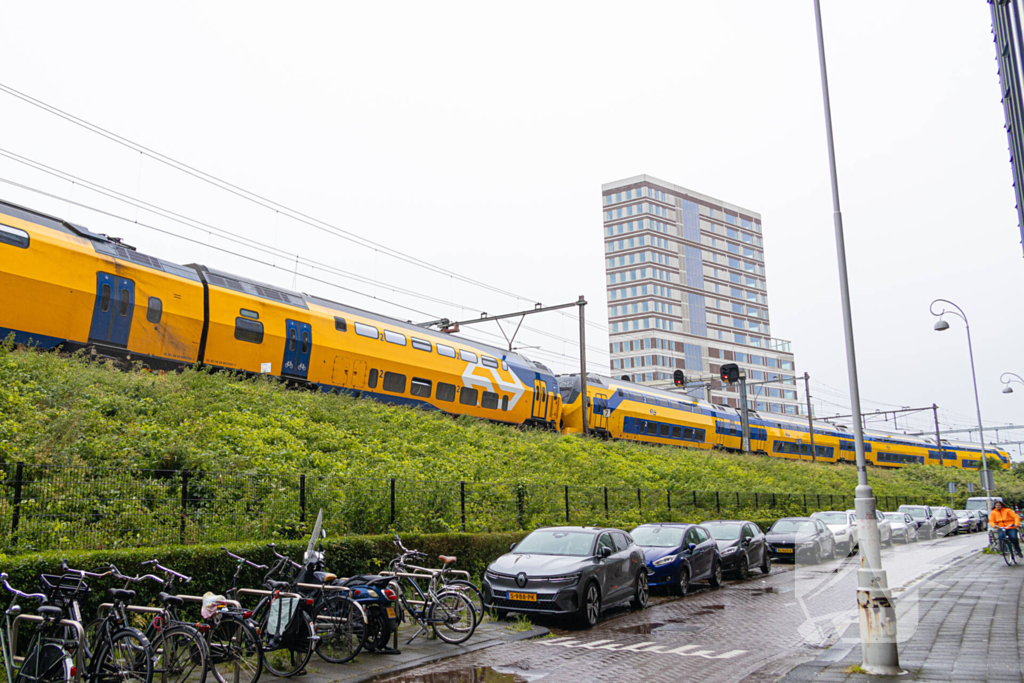 Treinverkeer plat door omgewaaide boom op bovenleiding