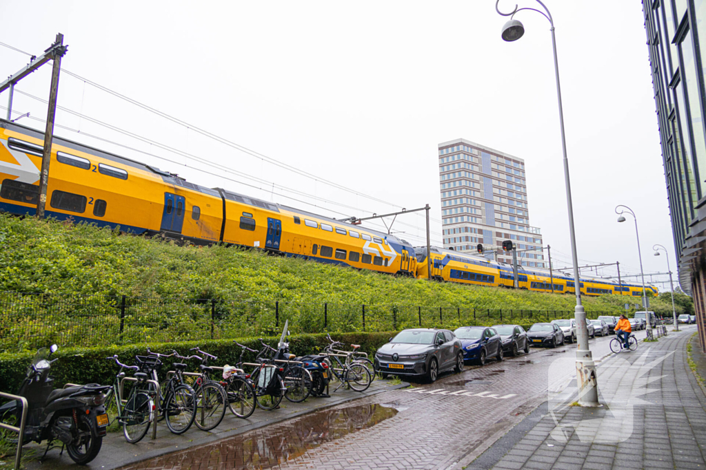 Treinverkeer plat door omgewaaide boom op bovenleiding