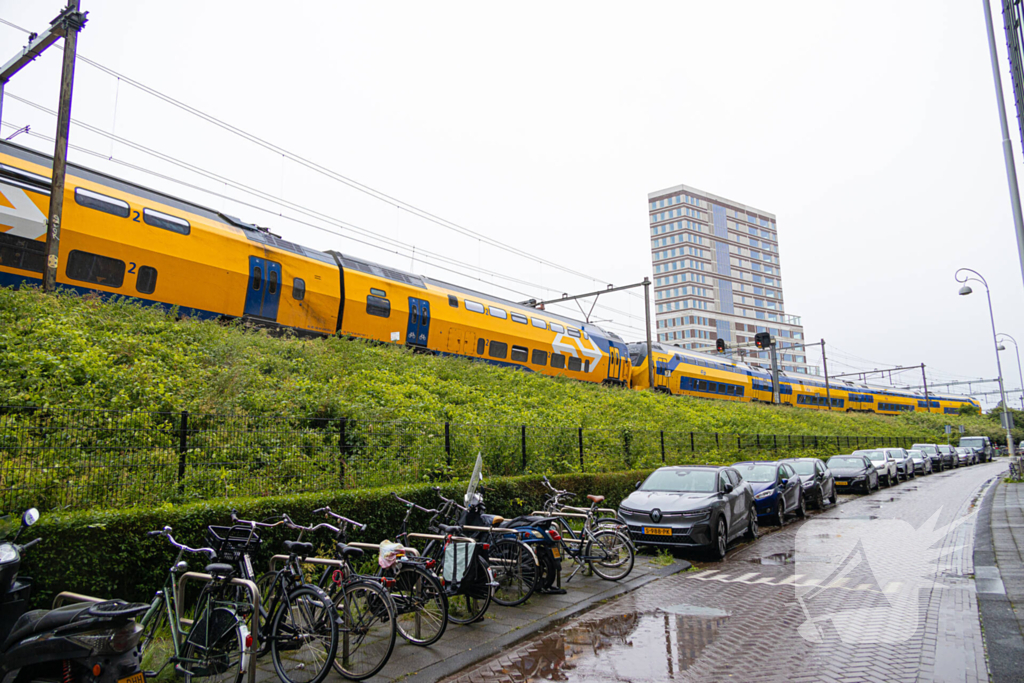 Treinverkeer plat door omgewaaide boom op bovenleiding