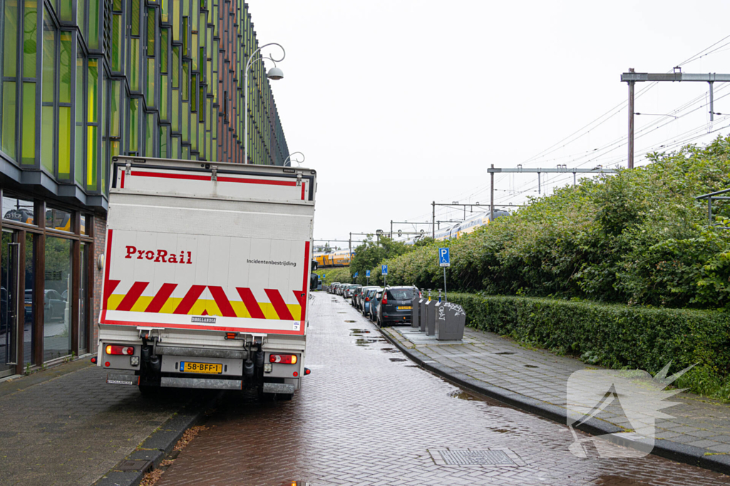 Treinverkeer plat door omgewaaide boom op bovenleiding