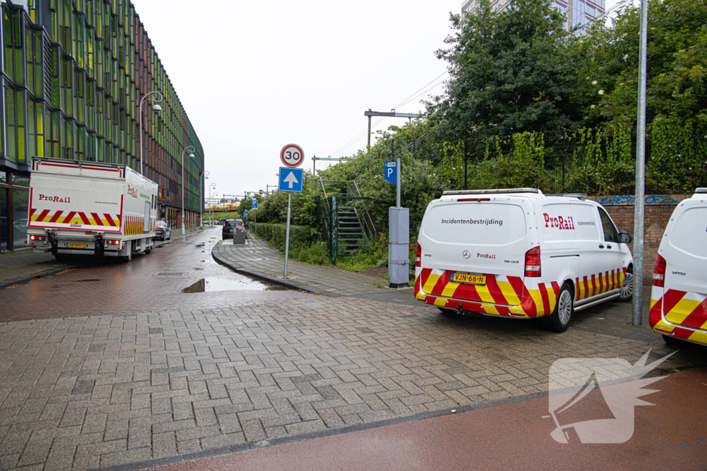 Treinverkeer plat door omgewaaide boom op bovenleiding