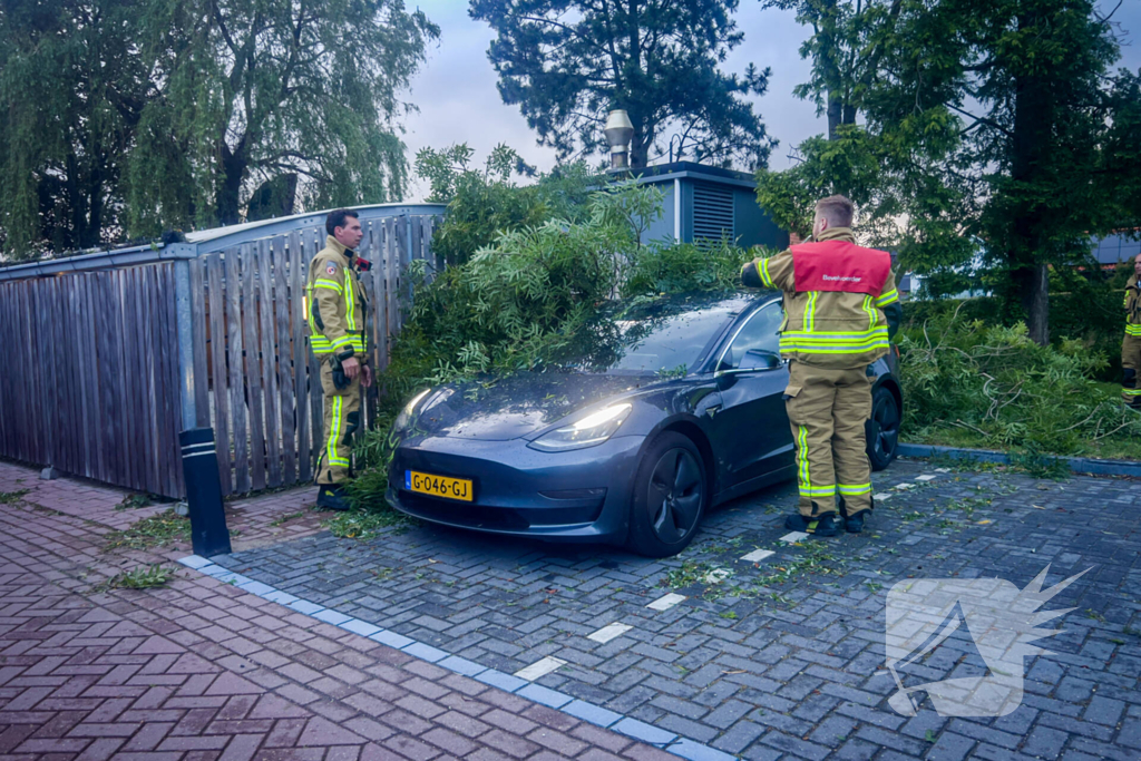 Grote tak breekt af en valt op geparkeerde auto