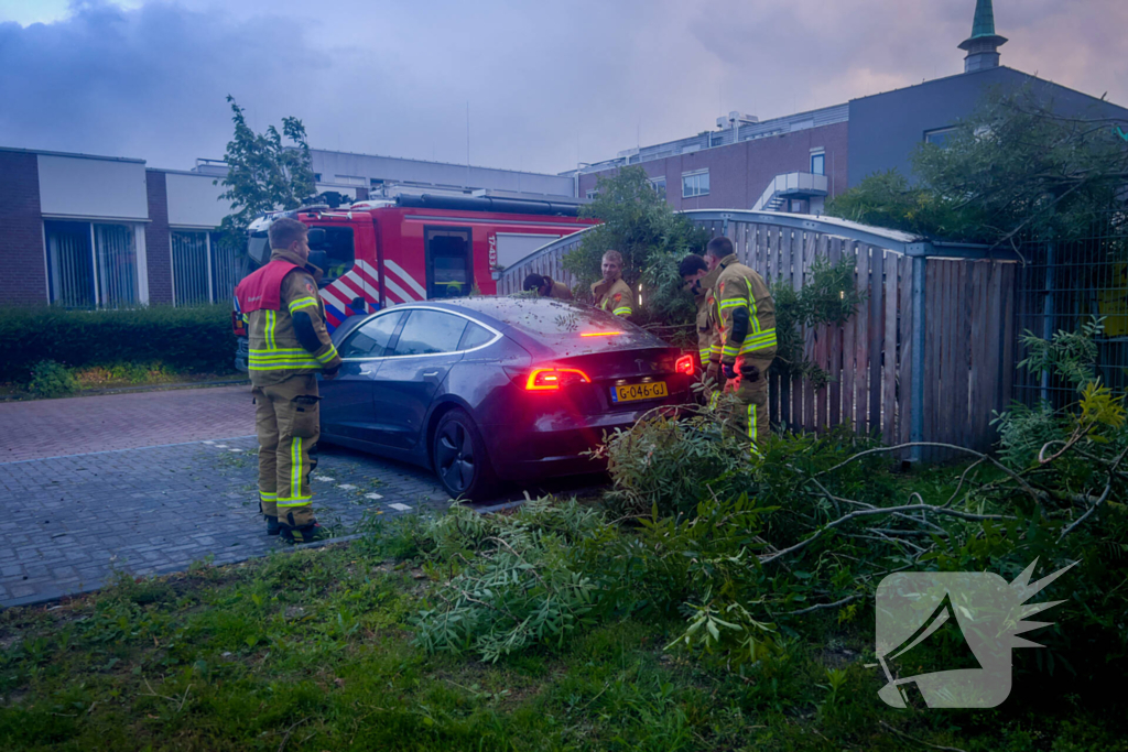 Grote tak breekt af en valt op geparkeerde auto