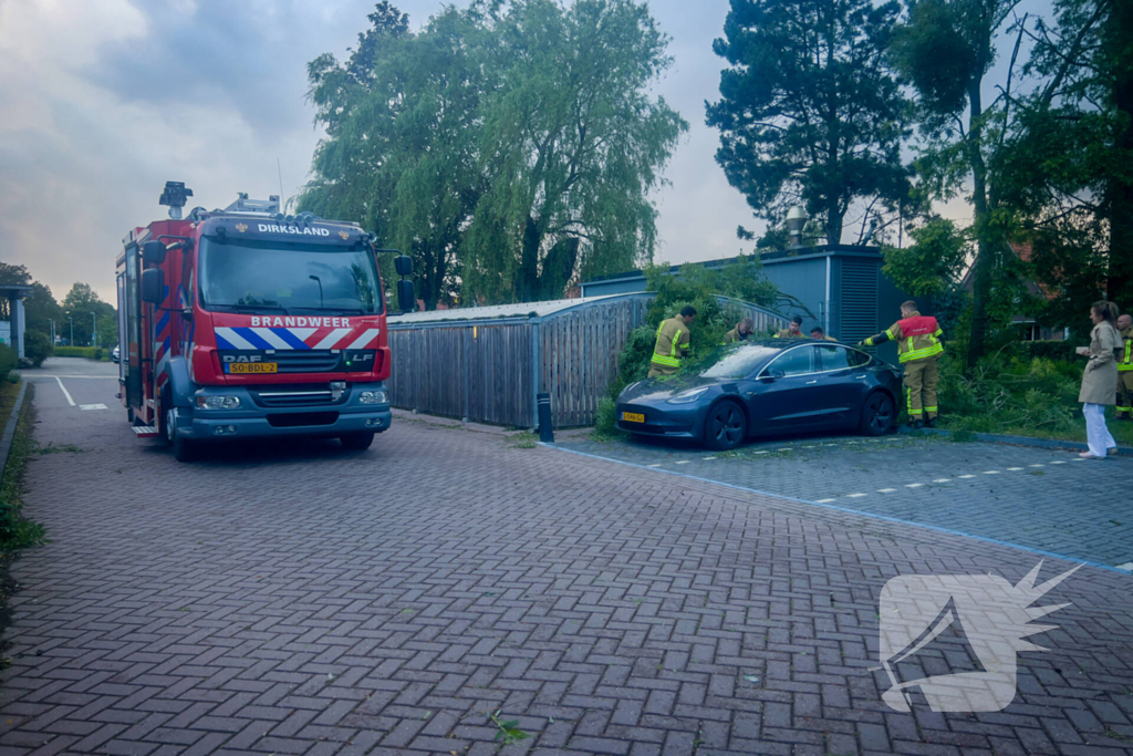 Grote tak breekt af en valt op geparkeerde auto