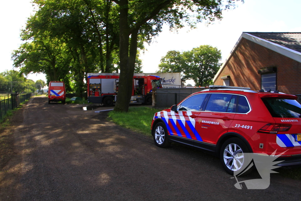 Kalf zakt door rooster, brandweer aanwezig