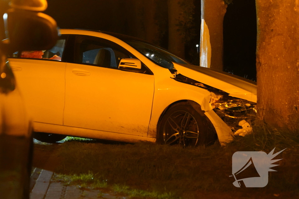 Autobestuurder botst tegen twee bomen