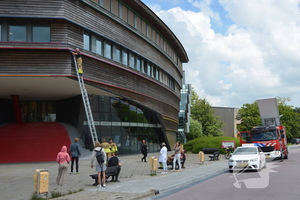 Brandweer haalt dode kraai van schoolgebouw