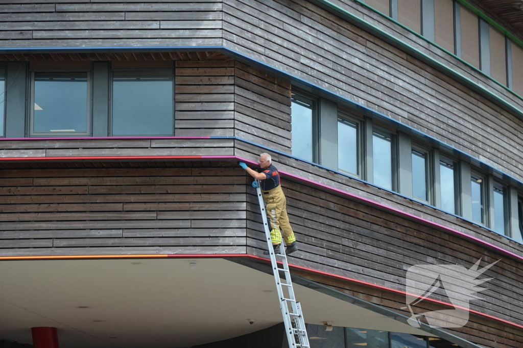 Brandweer haalt dode kraai van schoolgebouw