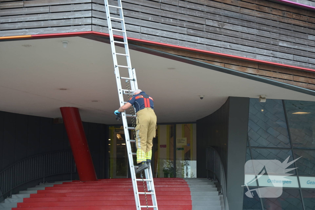 Brandweer haalt dode kraai van schoolgebouw