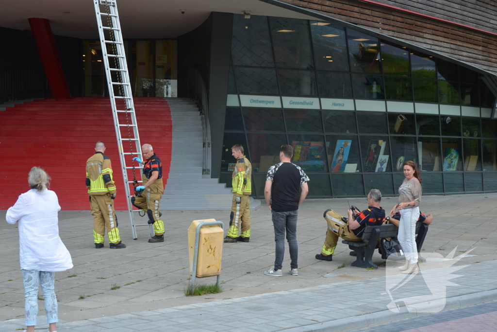 Brandweer haalt dode kraai van schoolgebouw