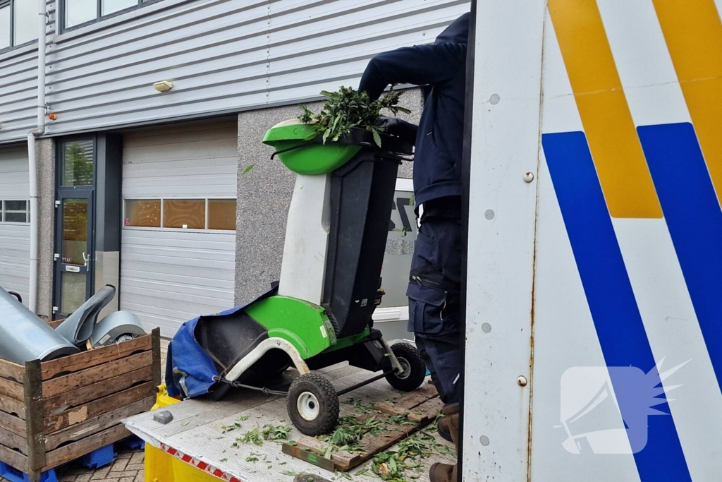 Hennepkwekerij met 200 planten opgerold