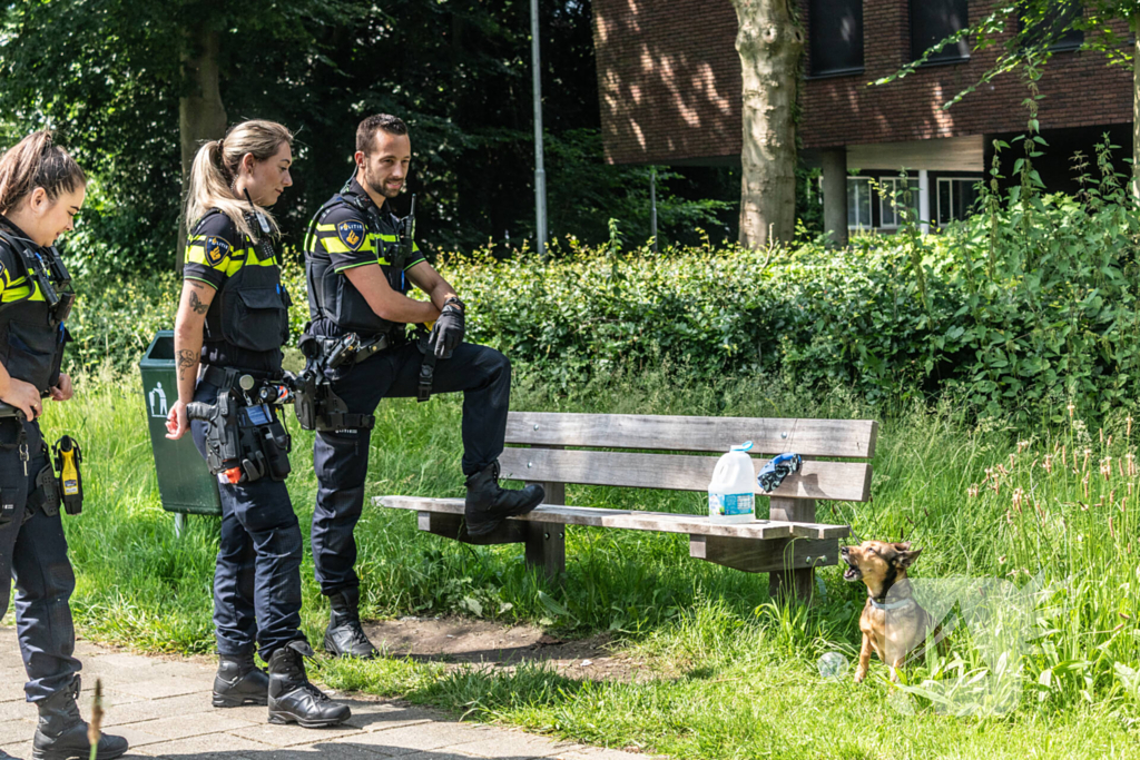 Hond achtergelaten na geweldsincident