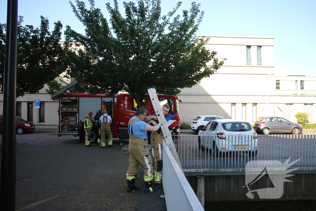 Brandweer bevrijdt kuiken van achter houten schot