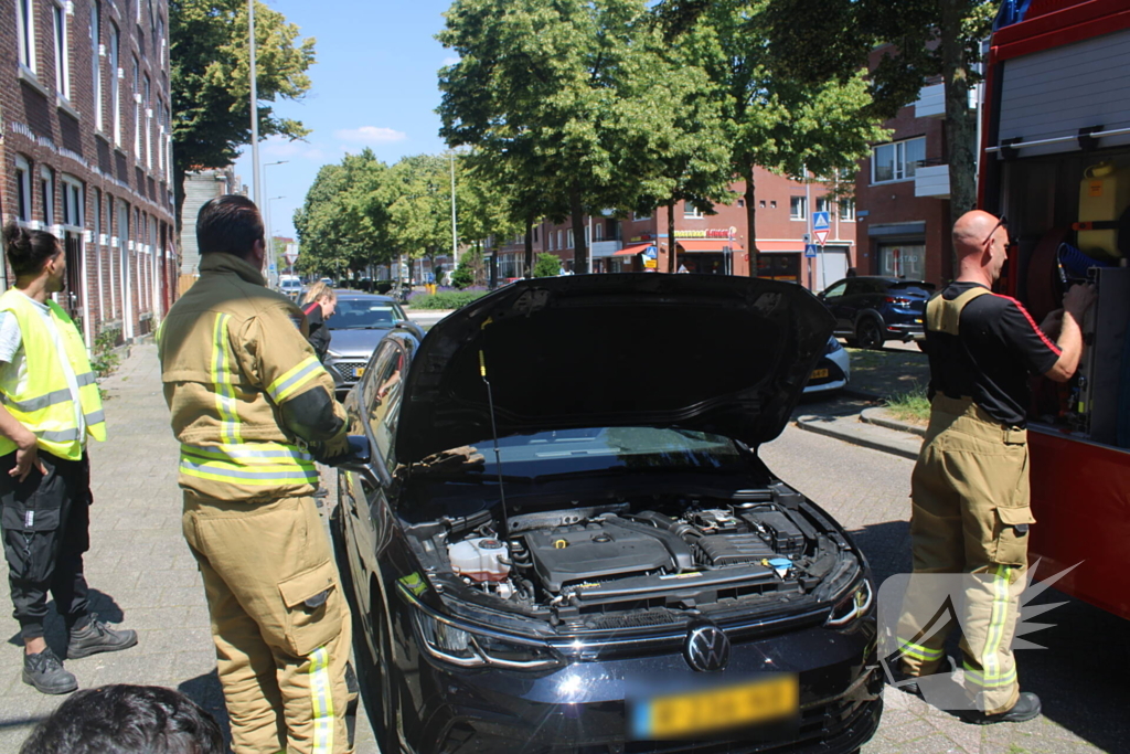 Brandweer bevrijdt vastzittende kat