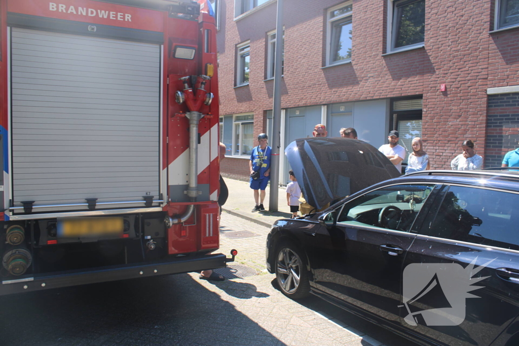 Brandweer bevrijdt vastzittende kat