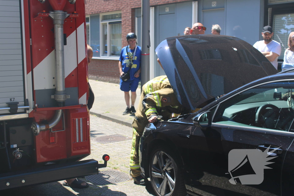 Brandweer bevrijdt vastzittende kat