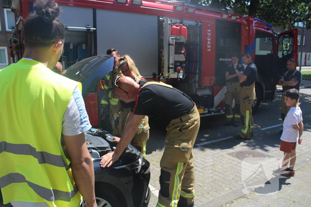 Brandweer bevrijdt vastzittende kat