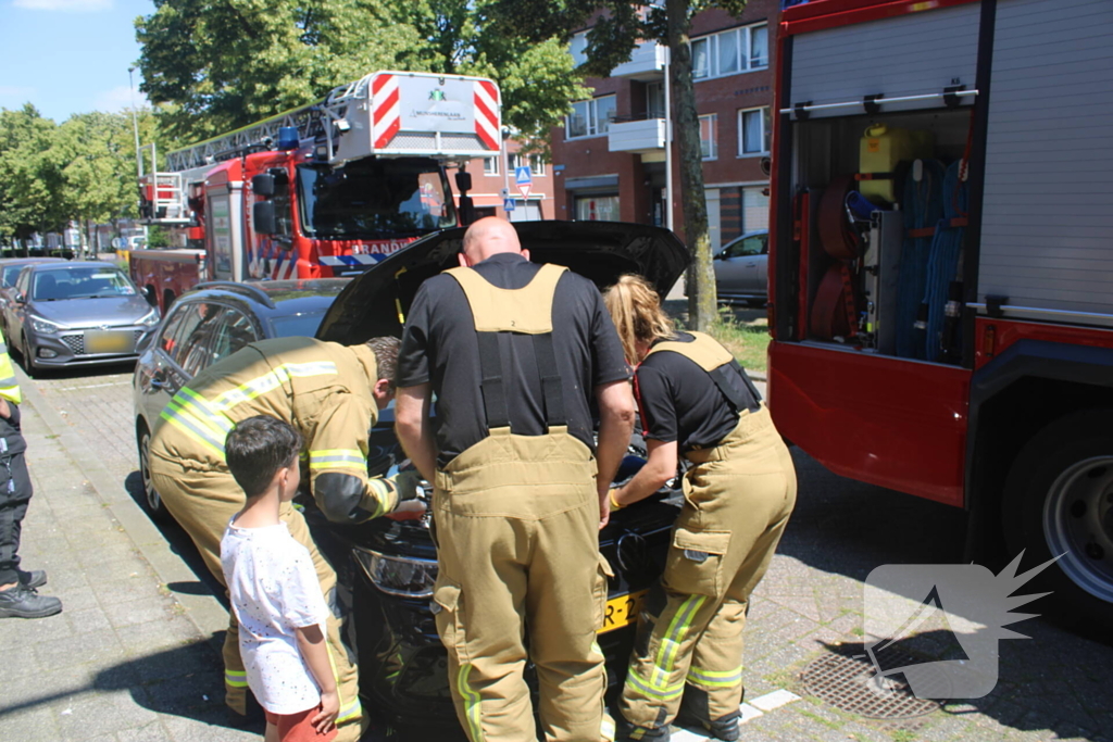 Brandweer bevrijdt vastzittende kat