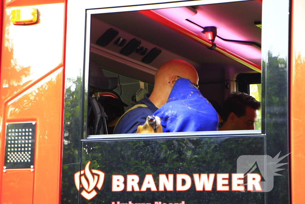 Brandweer redt ree en laat hem elder vrij