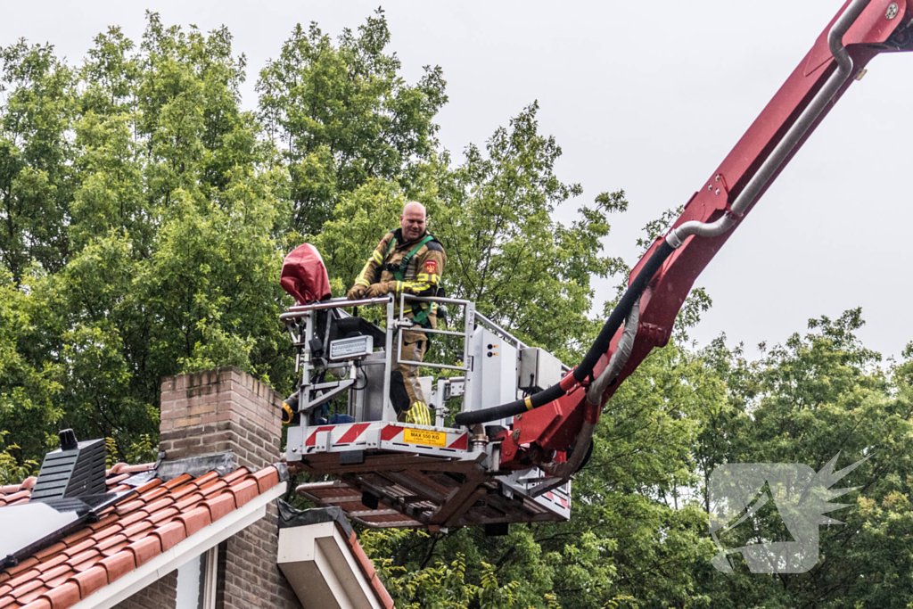 Poes ontglipt aan de brandweer