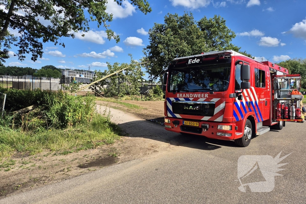 Brandweer verwijdert omgevallen boom