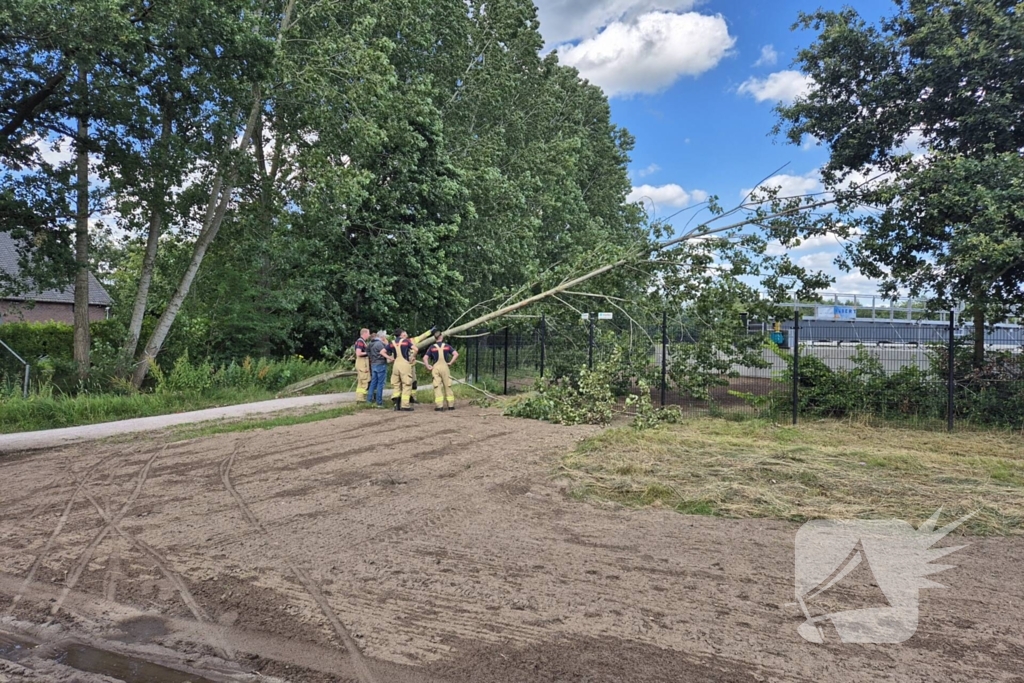 Brandweer verwijdert omgevallen boom