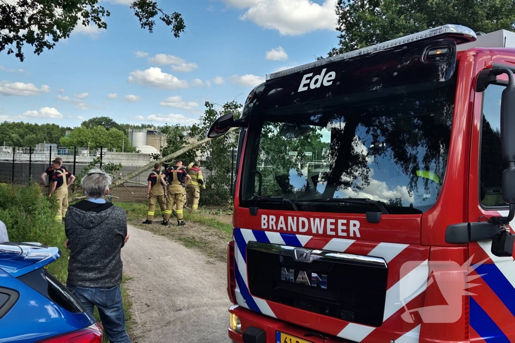 Brandweer verwijdert omgevallen boom