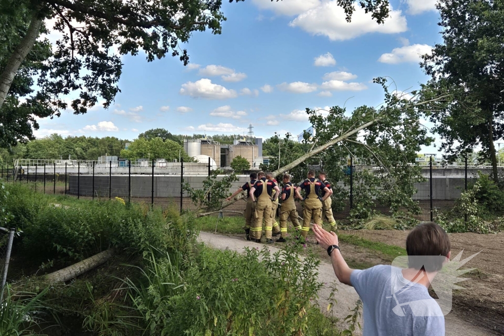 Brandweer verwijdert omgevallen boom