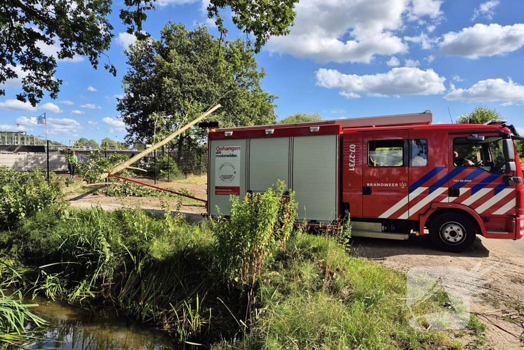 Brandweer verwijdert omgevallen boom