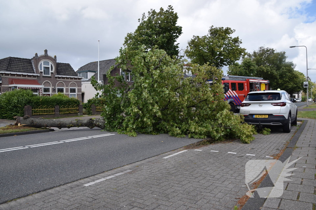 Grote boom belandt op weg tijdens storm