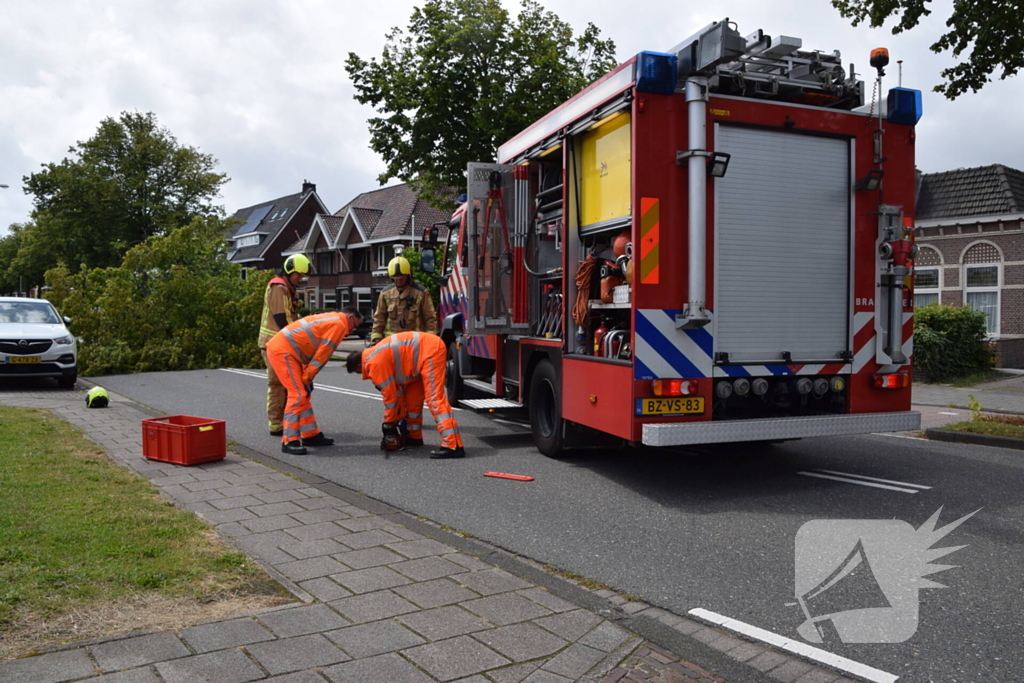 Grote boom belandt op weg tijdens storm