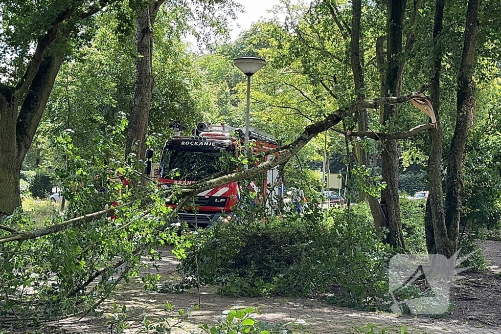 Brandweer ingezet voor afgebroken tak