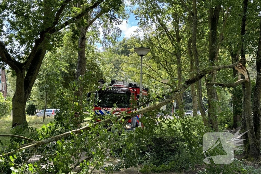 Brandweer ingezet voor afgebroken tak