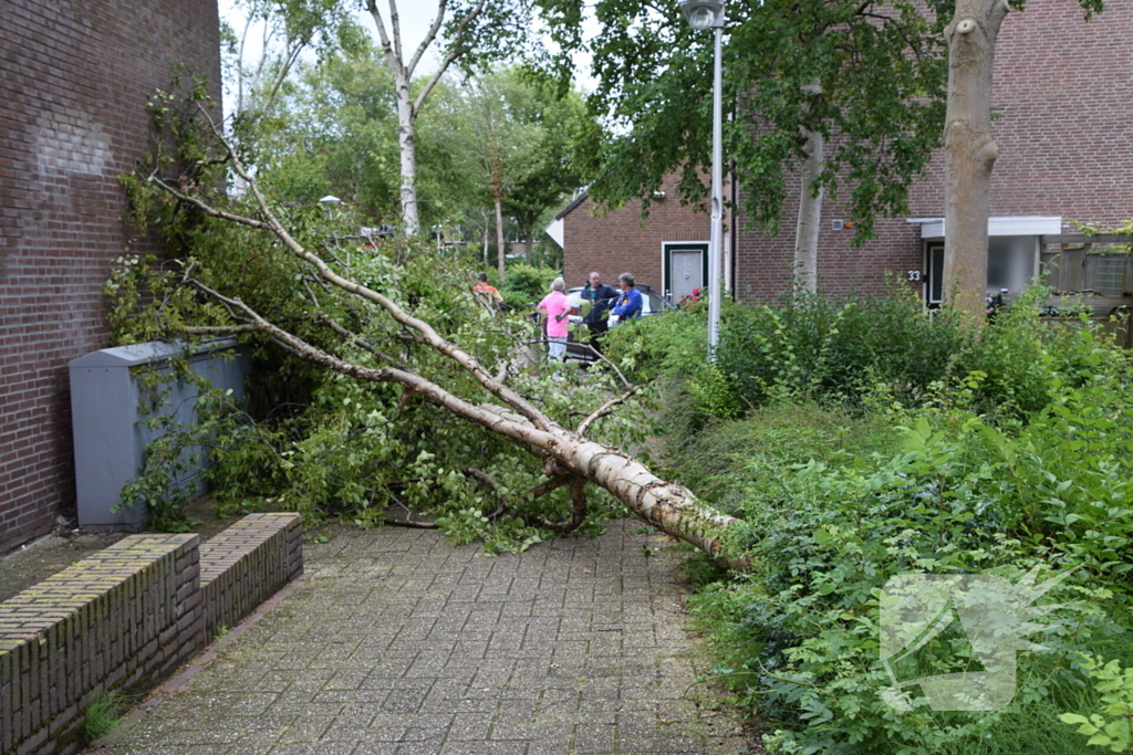 Boom waait tegen woning