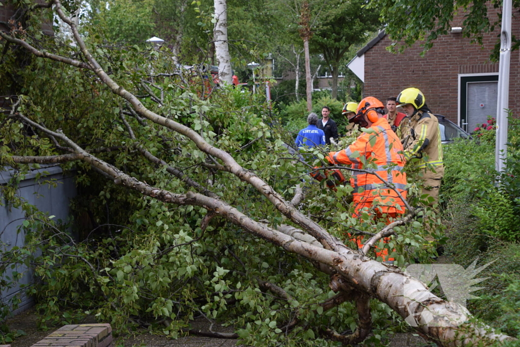 Boom waait tegen woning