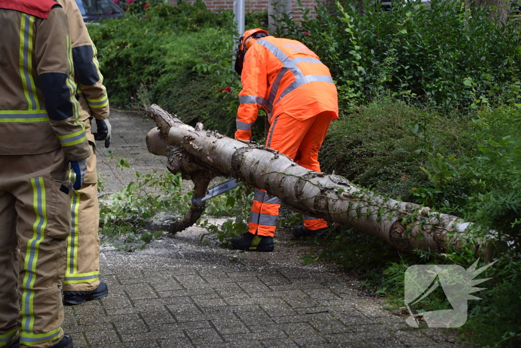 Boom waait tegen woning