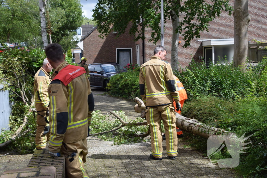 Boom waait tegen woning