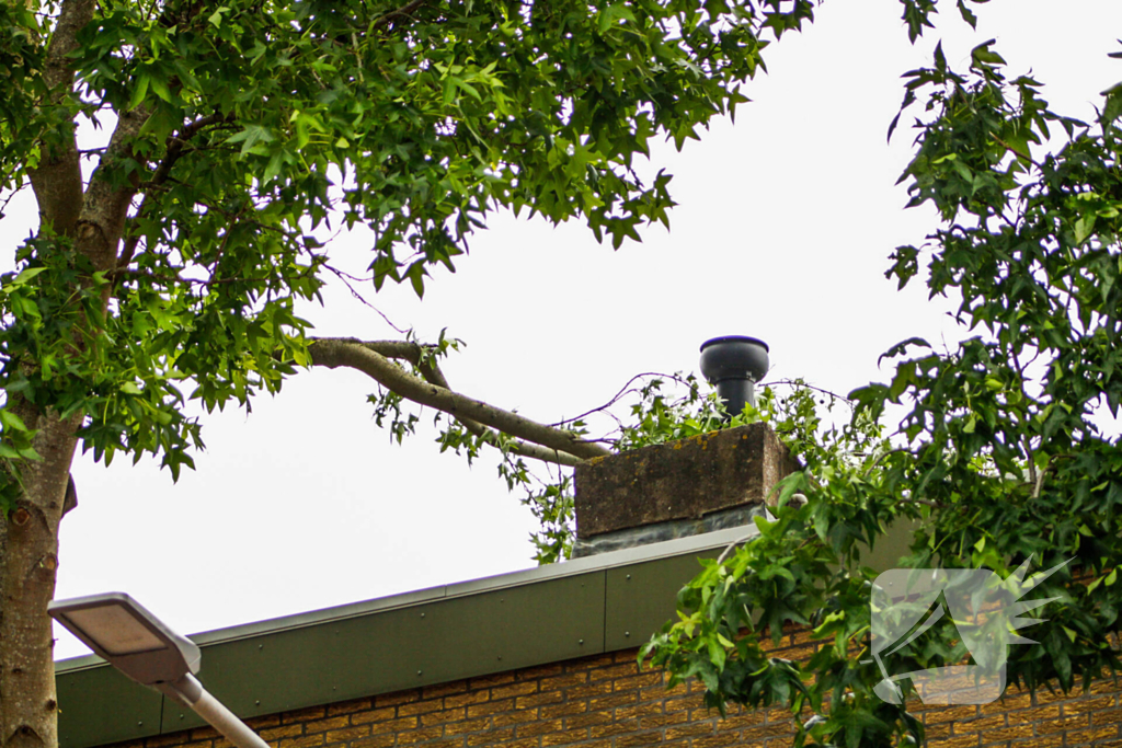 Brandweer verwijdert losgewaaide tak van dak