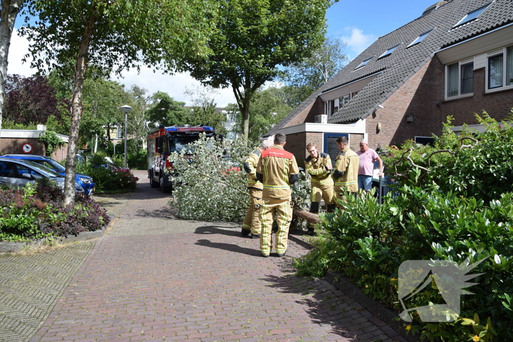 Brandweer zaagt omgevallen boom in stukken