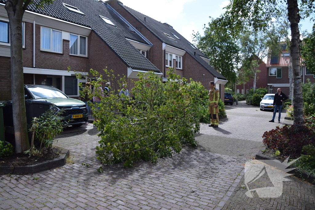 Brandweer zaagt omgevallen boom in stukken